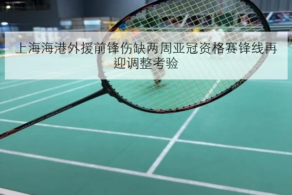 上海海港外援前锋伤缺两周亚冠资格赛锋线再迎调整考验